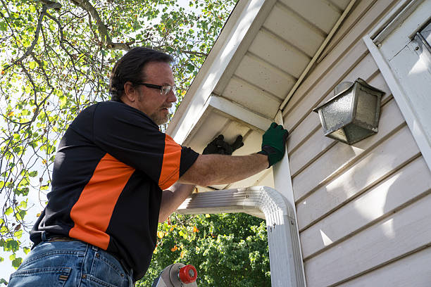 Best Siding Painting and Refinishing  in Janesville, WI
